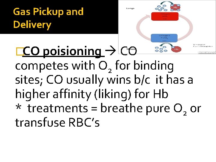 Gas Pickup and Delivery �CO poisioning CO competes with O 2 for binding sites;