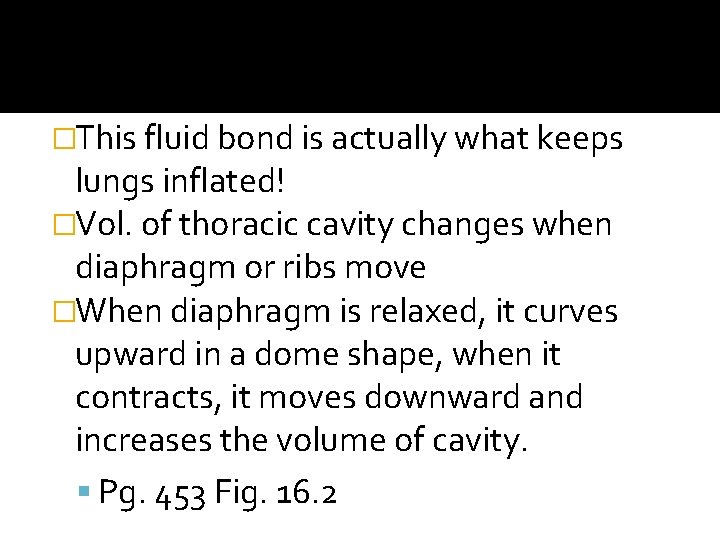 �This fluid bond is actually what keeps lungs inflated! �Vol. of thoracic cavity changes