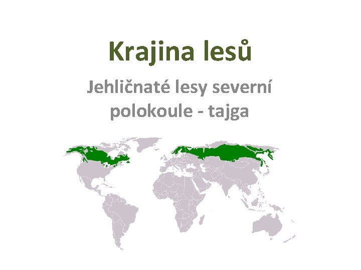 Krajina lesů Jehličnaté lesy severní polokoule - tajga 