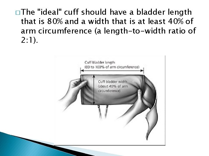 � The "ideal" cuff should have a bladder length that is 80% and a