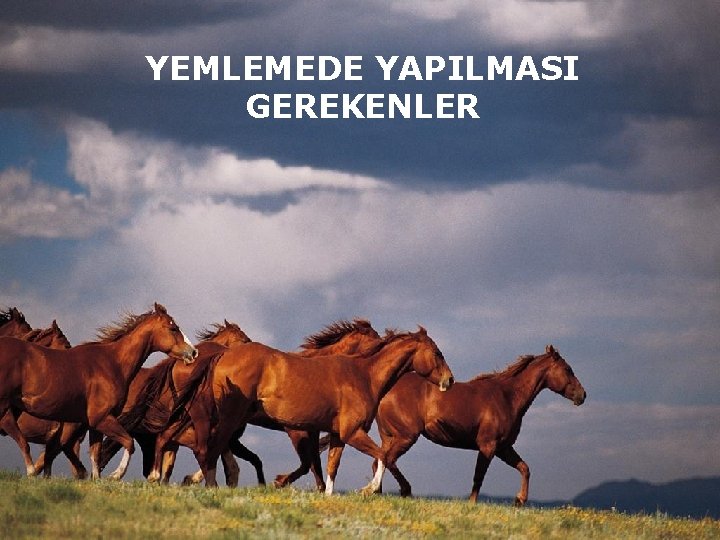 YEMLEMEDE YAPILMASI GEREKENLER 