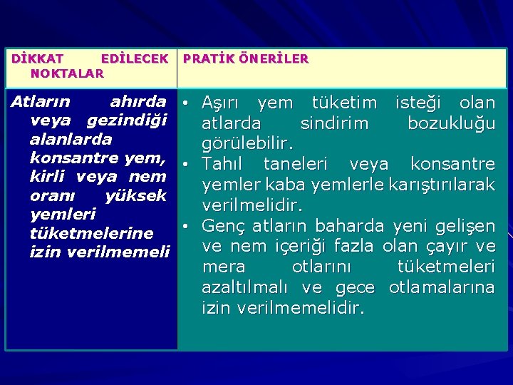 DİKKAT EDİLECEK NOKTALAR PRATİK ÖNERİLER Atların ahırda veya gezindiği alanlarda konsantre yem, kirli veya