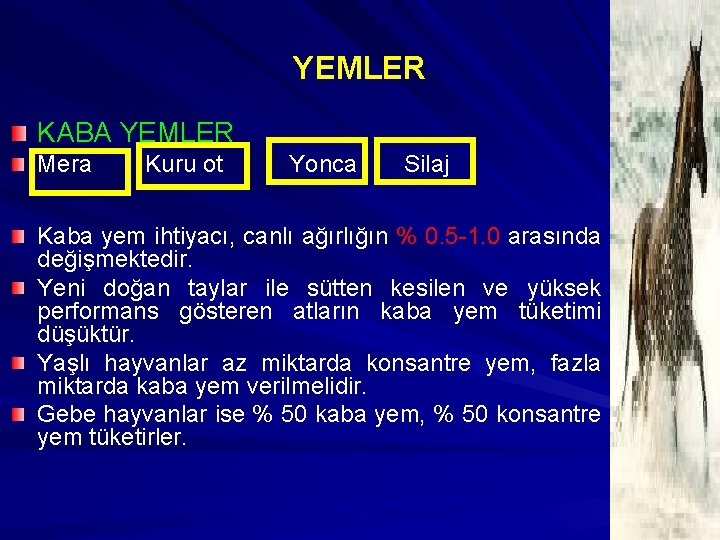 YEMLER KABA YEMLER Mera Kuru ot Yonca Silaj Kaba yem ihtiyacı, canlı ağırlığın %