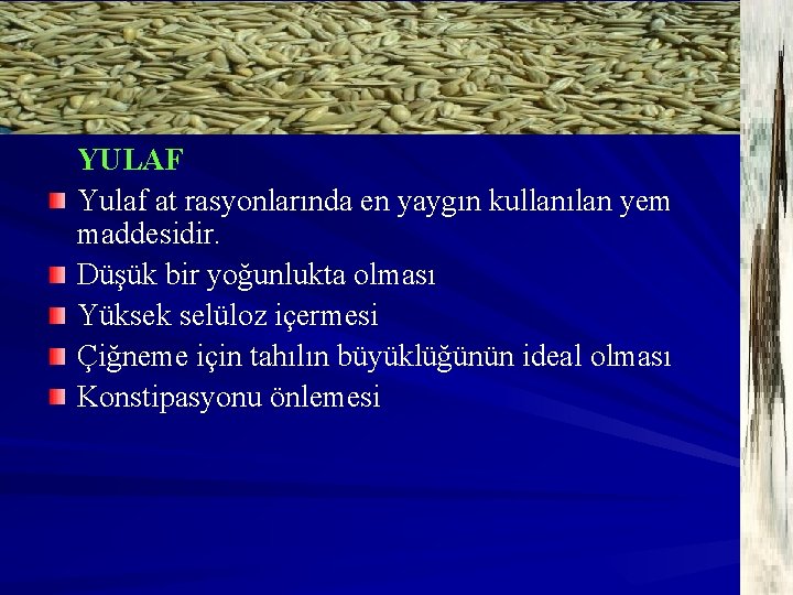 YULAF Yulaf at rasyonlarında en yaygın kullanılan yem maddesidir. Düşük bir yoğunlukta olması Yüksek