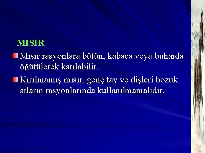 MISIR Mısır rasyonlara bütün, kabaca veya buharda öğütülerek katılabilir. Kırılmamış mısır, genç tay ve