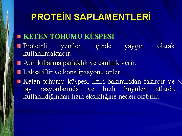 PROTEİN SAPLAMENTLERİ KETEN TOHUMU KÜSPESİ Proteinli yemler içinde yaygın olarak kullanılmaktadır. Atın kıllarına parlaklık