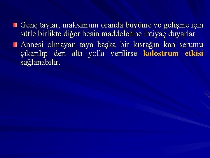 Genç taylar, maksimum oranda büyüme ve gelişme için sütle birlikte diğer besin maddelerine ihtiyaç