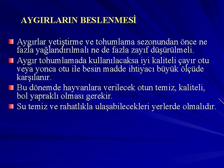 AYGIRLARIN BESLENMESİ Aygırlar yetiştirme ve tohumlama sezonundan önce ne fazla yağlandırılmalı ne de fazla