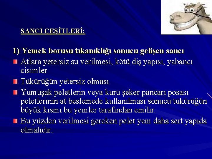 SANCI ÇEŞİTLERİ: 1) Yemek borusu tıkanıklığı sonucu gelişen sancı Atlara yetersiz su verilmesi, kötü