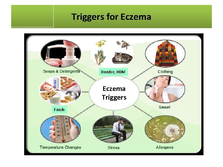Triggers for Eczema Dander, HDM Eczema Triggers Foods 