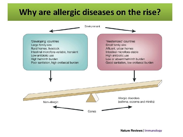 Why are allergic diseases on the rise? 