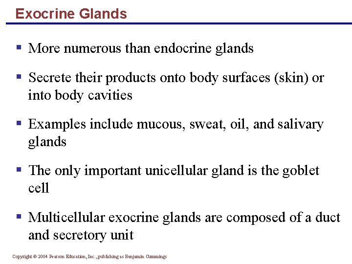 Exocrine Glands § More numerous than endocrine glands § Secrete their products onto body