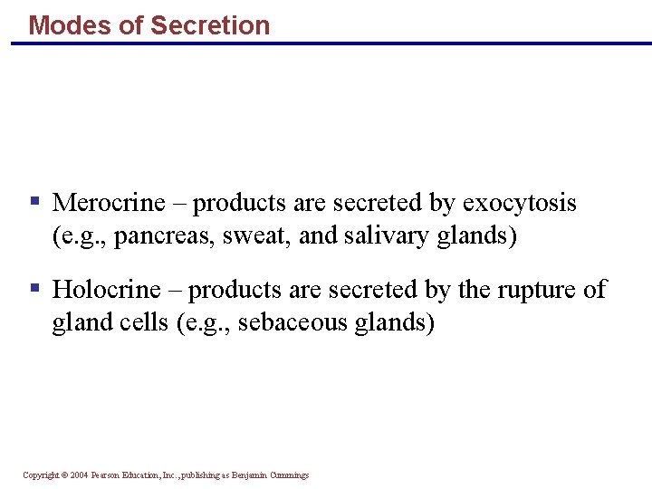 Modes of Secretion § Merocrine – products are secreted by exocytosis (e. g. ,