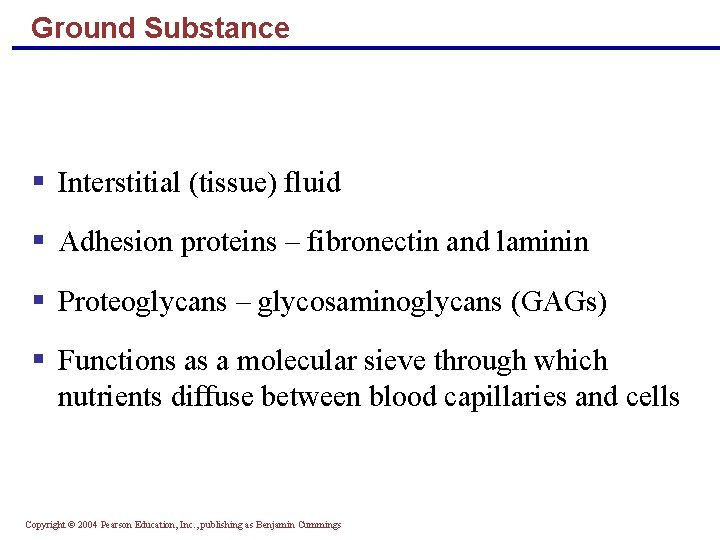 Ground Substance § Interstitial (tissue) fluid § Adhesion proteins – fibronectin and laminin § Ground Substance § Interstitial (tissue) fluid § Adhesion proteins – fibronectin and laminin §