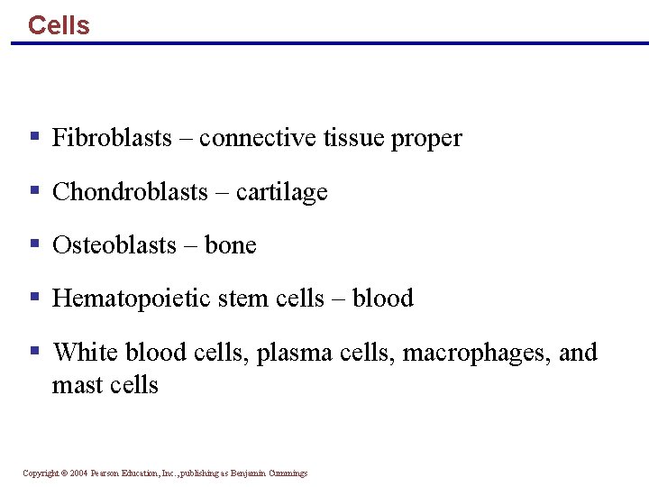 Cells § Fibroblasts – connective tissue proper § Chondroblasts – cartilage § Osteoblasts –