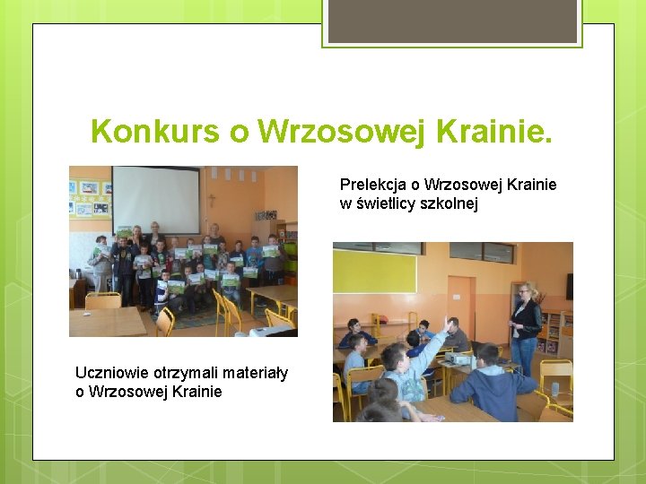 Konkurs o Wrzosowej Krainie. Prelekcja o Wrzosowej Krainie w świetlicy szkolnej Uczniowie otrzymali materiały