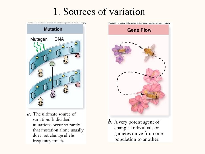 1. Sources of variation 