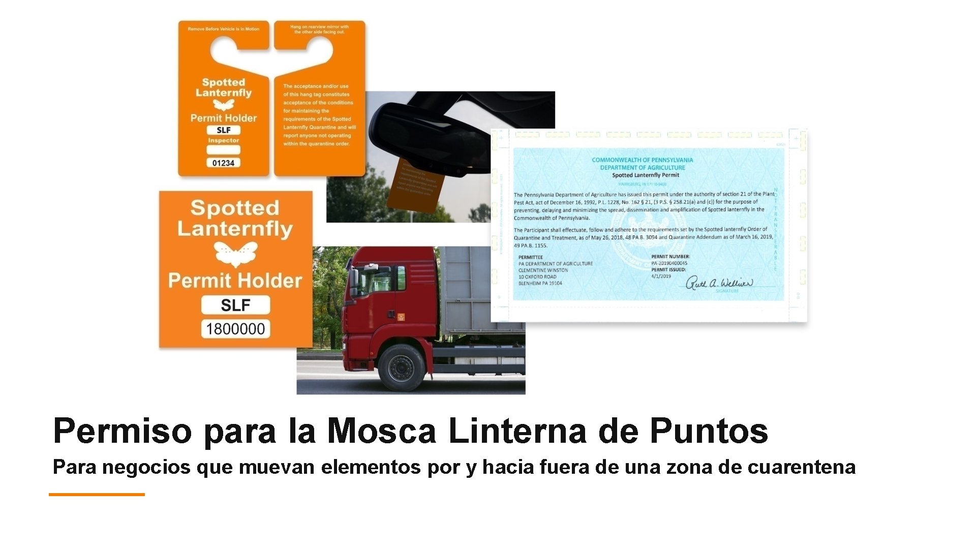 Permiso para la Mosca Linterna de Puntos Para negocios que muevan elementos por y