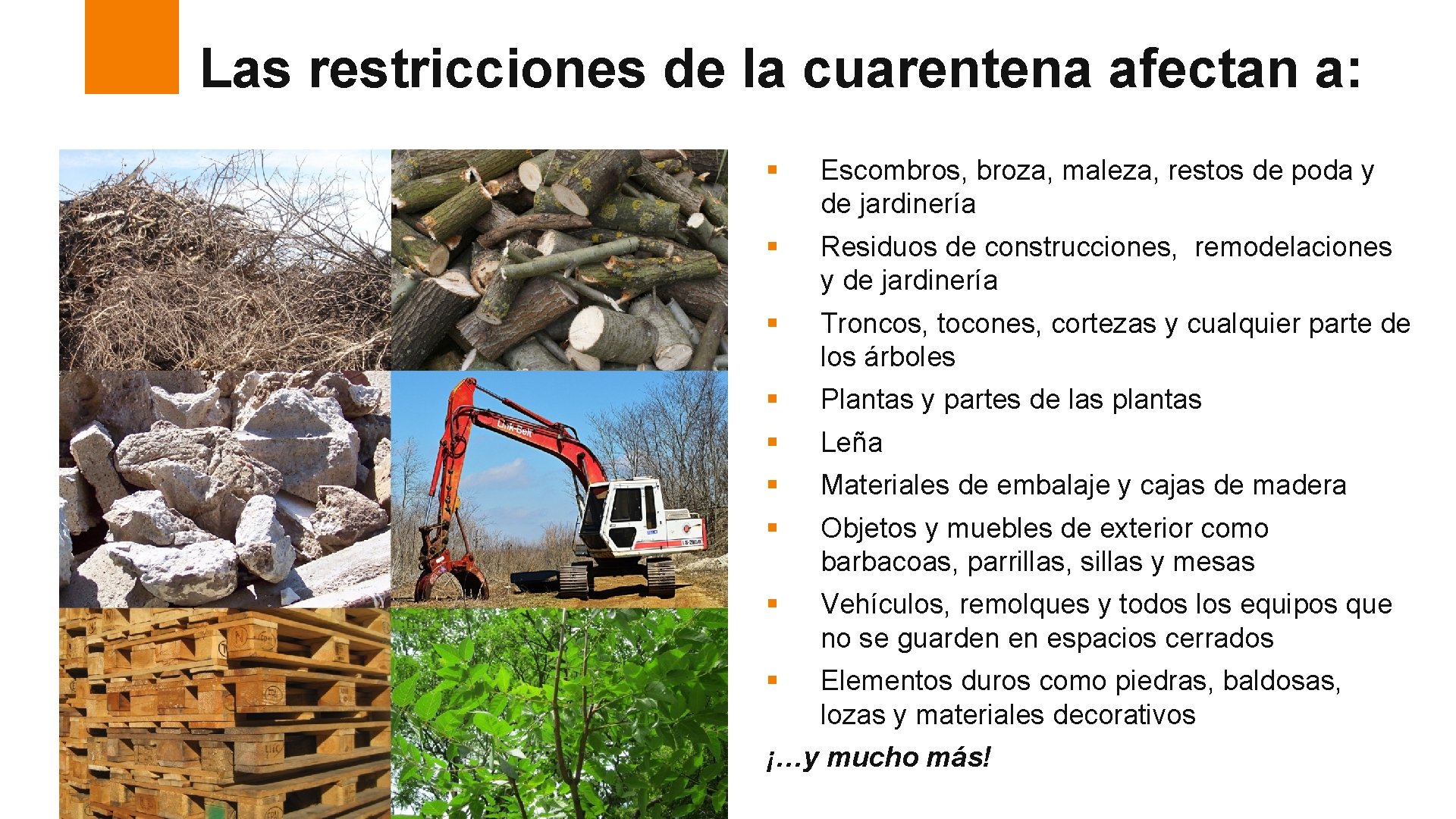 Las restricciones de la cuarentena afectan a: § Escombros, broza, maleza, restos de poda