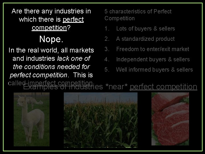 Are there any industries in which there is perfect competition? 5 characteristics of Perfect