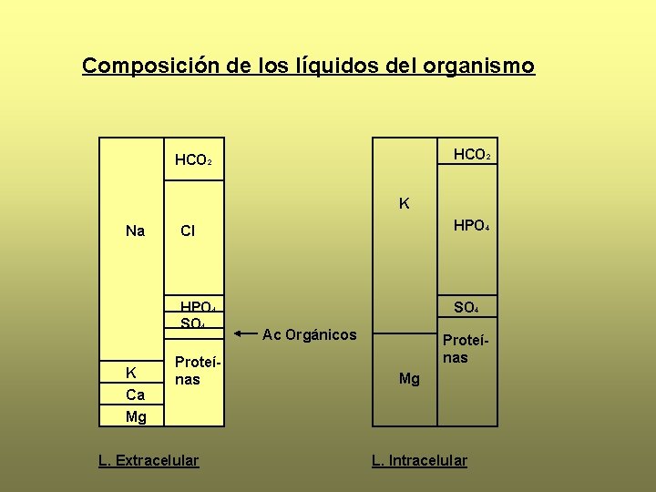 Composición de los líquidos del organismo HCO 2 K Na K Ca Mg Cl