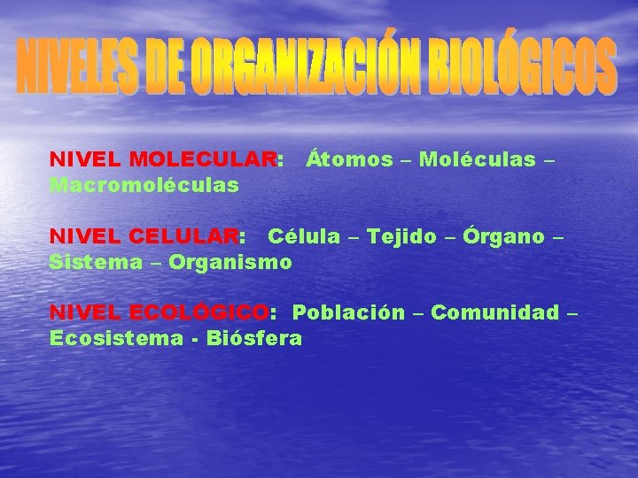 NIVEL MOLECULAR: Átomos – Moléculas – Macromoléculas NIVEL CELULAR: Célula – Tejido – Órgano