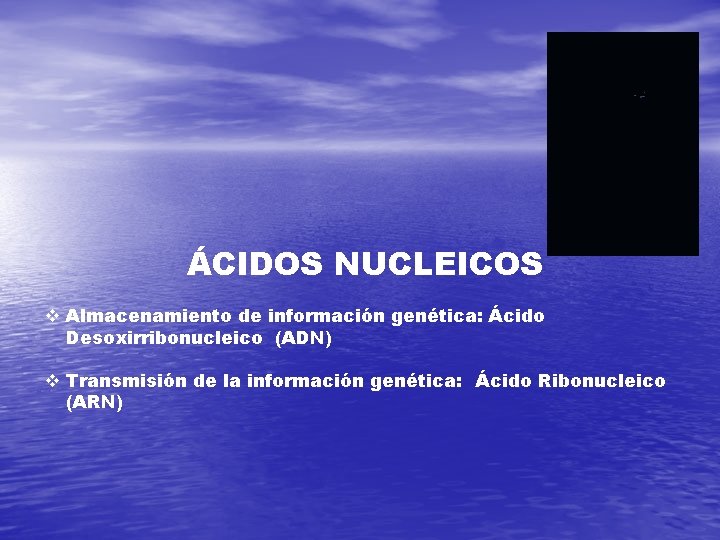 ÁCIDOS NUCLEICOS v Almacenamiento de información genética: Ácido Desoxirribonucleico (ADN) v Transmisión de la