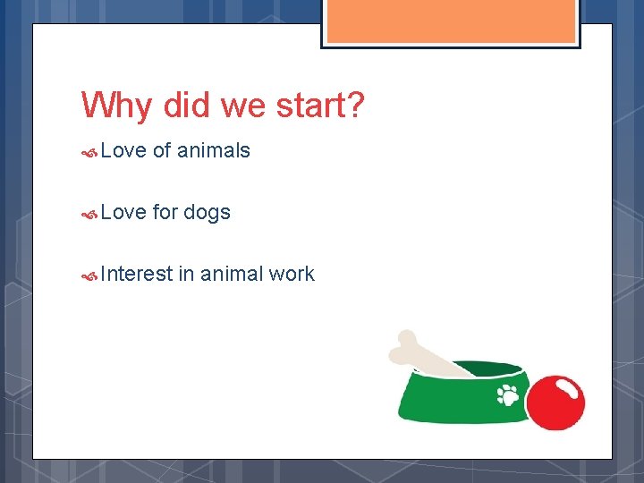 Why did we start? Love of animals Love for dogs Interest in animal work