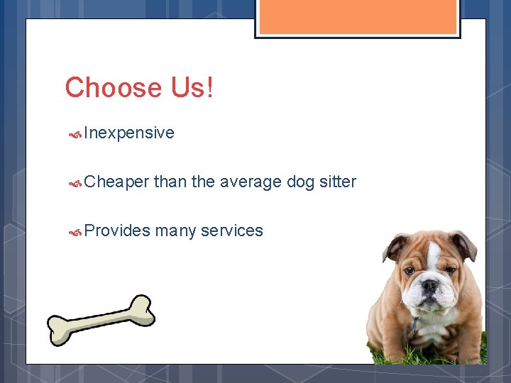 Choose Us! Inexpensive Cheaper than the average dog sitter Provides many services 