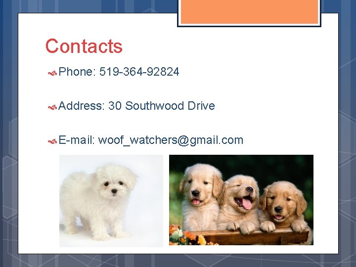 Contacts Phone: 519 -364 -92824 Address: E-mail: 30 Southwood Drive woof_watchers@gmail. com 