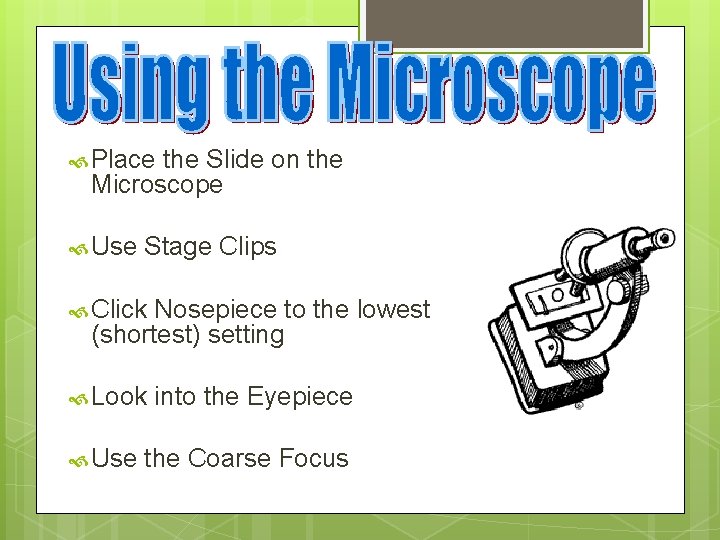  Place the Slide on the Microscope Use Stage Clips Click Nosepiece to the