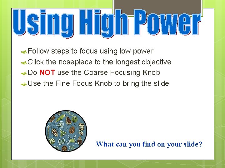  Follow steps to focus using low power Click the nosepiece to the longest