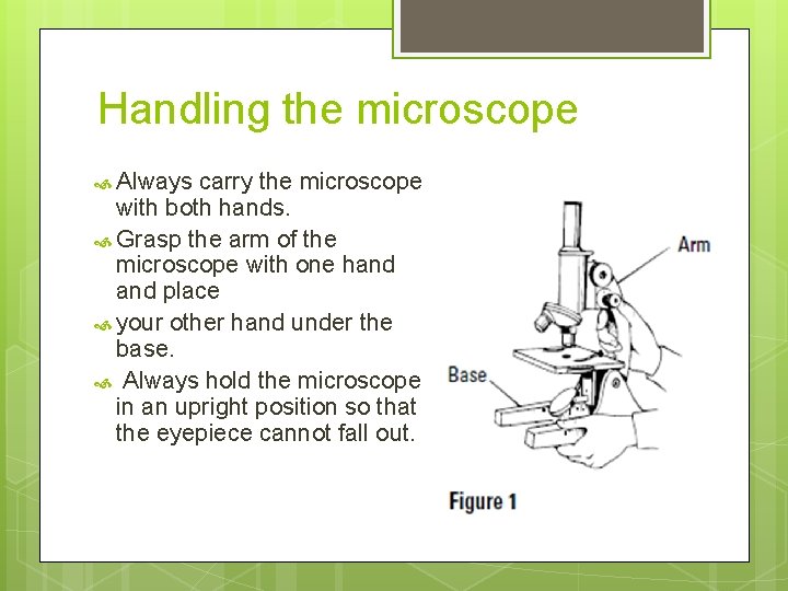 Handling the microscope Always carry the microscope with both hands. Grasp the arm of