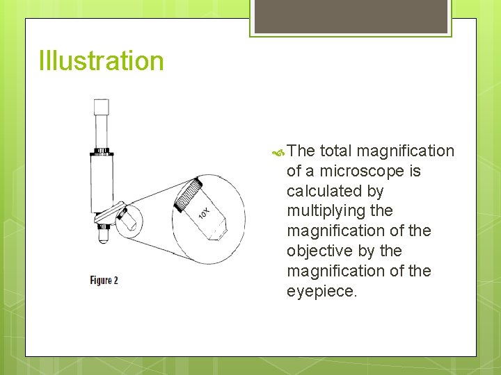Illustration The total magnification of a microscope is calculated by multiplying the magnification of