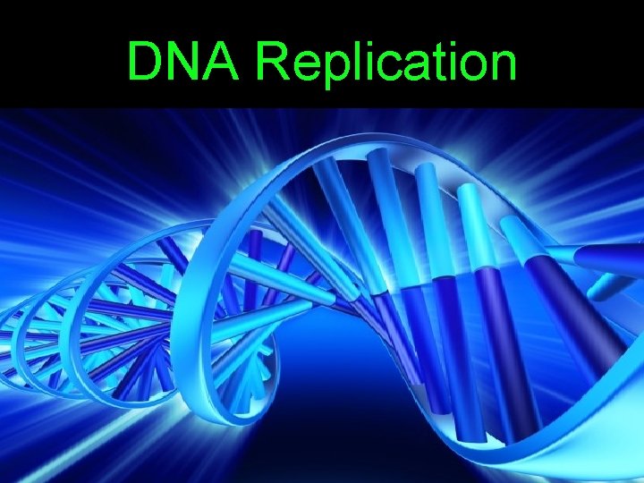 DNA Replication 