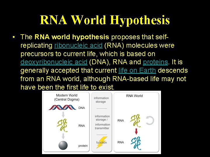 RNA World Hypothesis • The RNA world hypothesis proposes that selfreplicating ribonucleic acid (RNA)