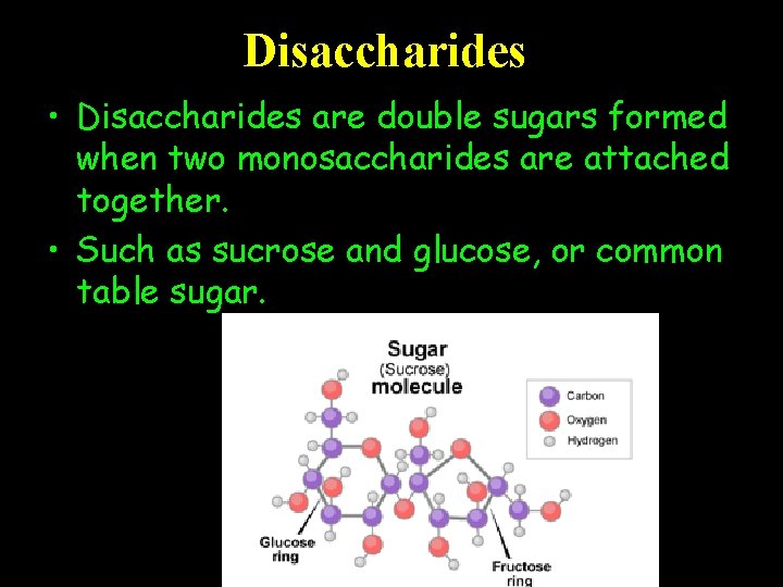 Disaccharides • Disaccharides are double sugars formed when two monosaccharides are attached together. •