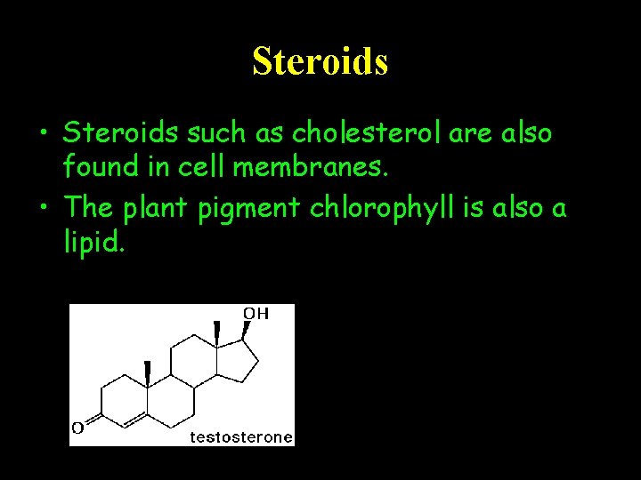 Steroids • Steroids such as cholesterol are also found in cell membranes. • The