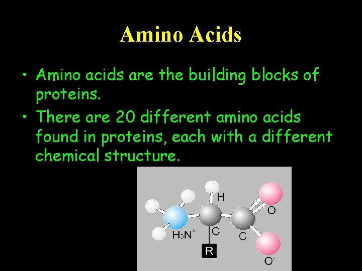 Amino Acids • Amino acids are the building blocks of proteins. • There are