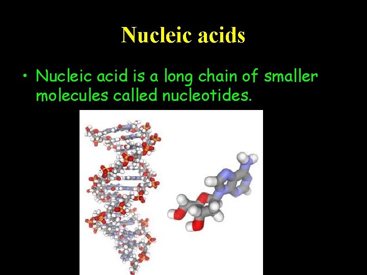 Nucleic acids • Nucleic acid is a long chain of smaller molecules called nucleotides.