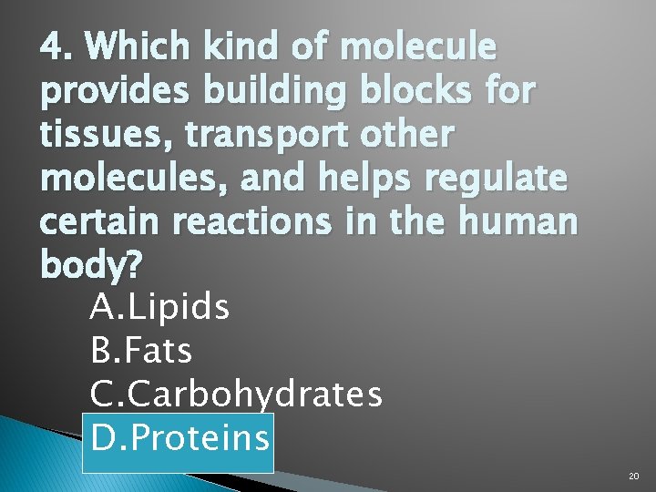 4. Which kind of molecule provides building blocks for tissues, transport other molecules, and