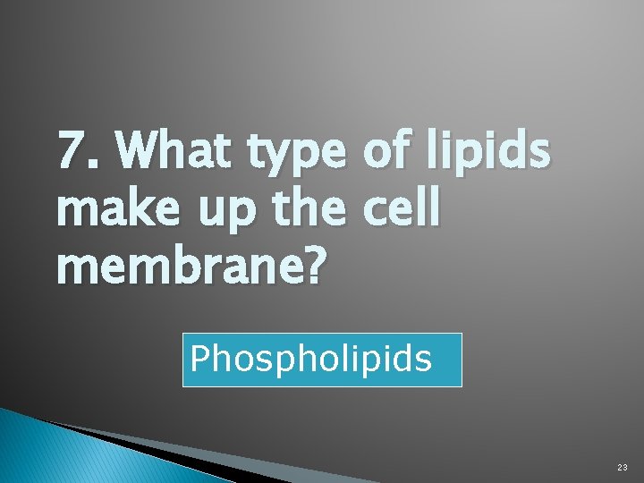 7. What type of lipids make up the cell membrane? Phospholipids 23 