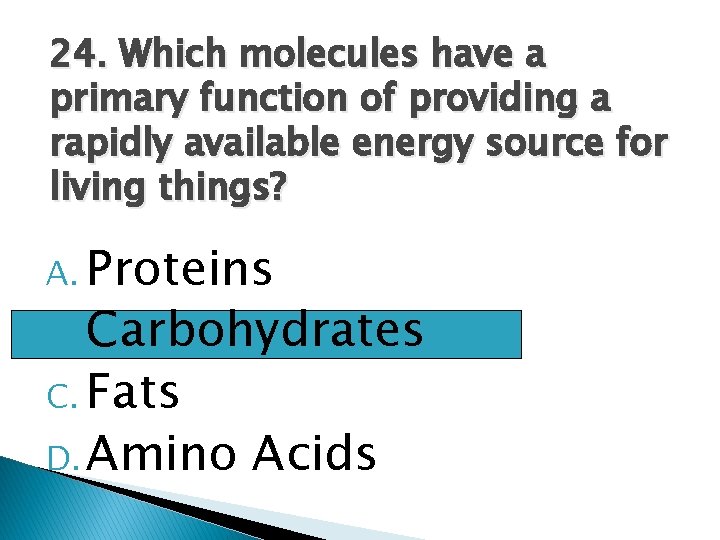 24. Which molecules have a primary function of providing a rapidly available energy source