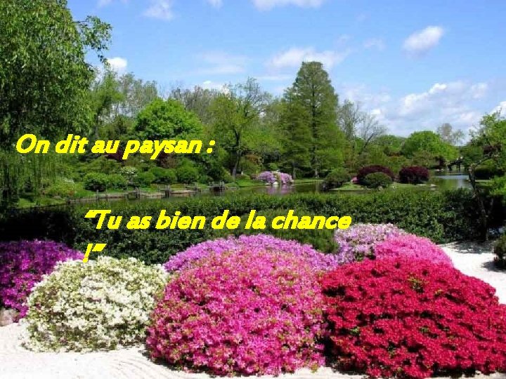 On dit au paysan : “Tu as bien de la chance !” 