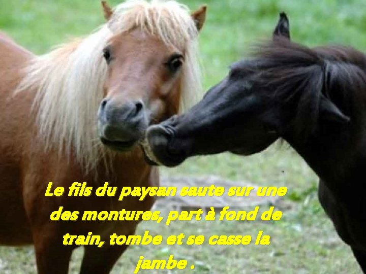 Le fils du paysan saute sur une des montures, part à fond de train,