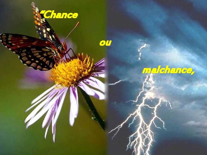 “Chance ou malchance, 