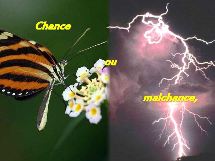 Chance ou malchance, 