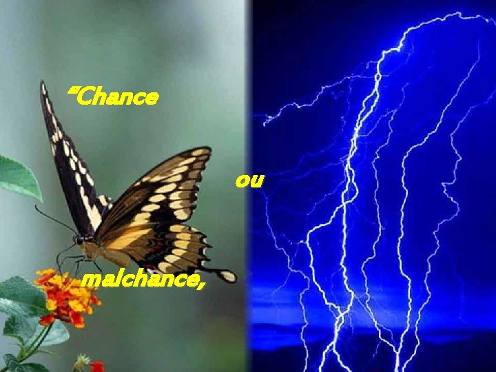 “Chance ou malchance, 