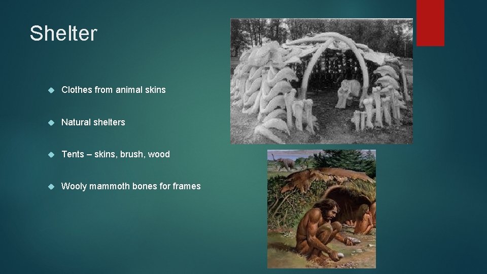 Shelter Clothes from animal skins Natural shelters Tents – skins, brush, wood Wooly mammoth