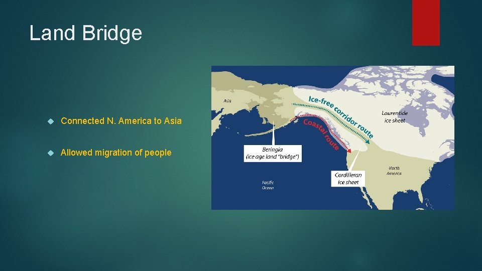 Land Bridge Connected N. America to Asia Allowed migration of people 